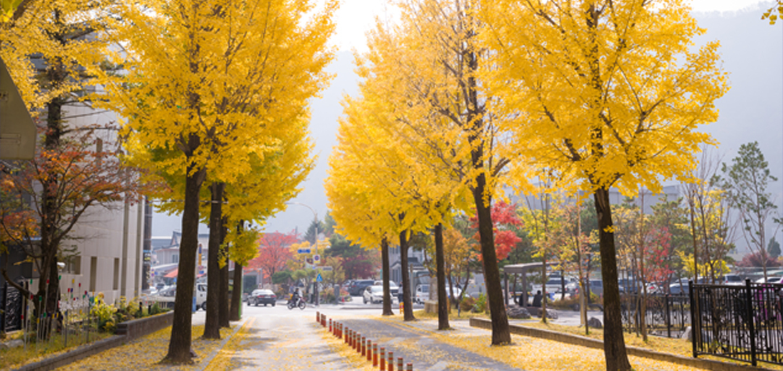 이미지명