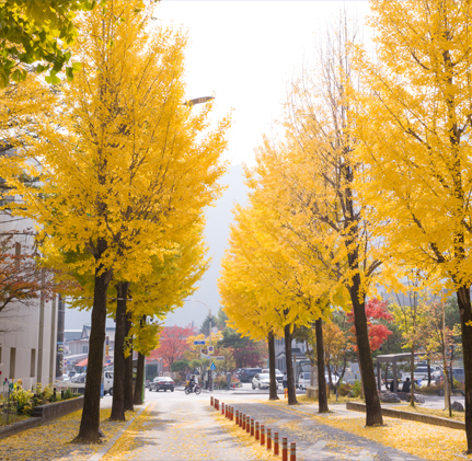 이미지명