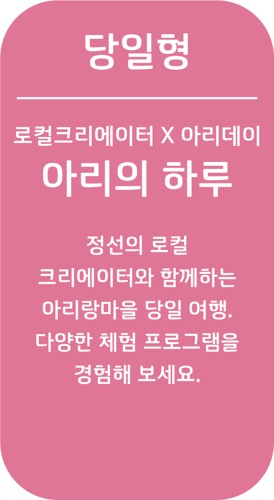 아리의 하루