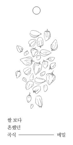 메밀
