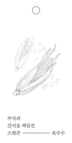 옥수수