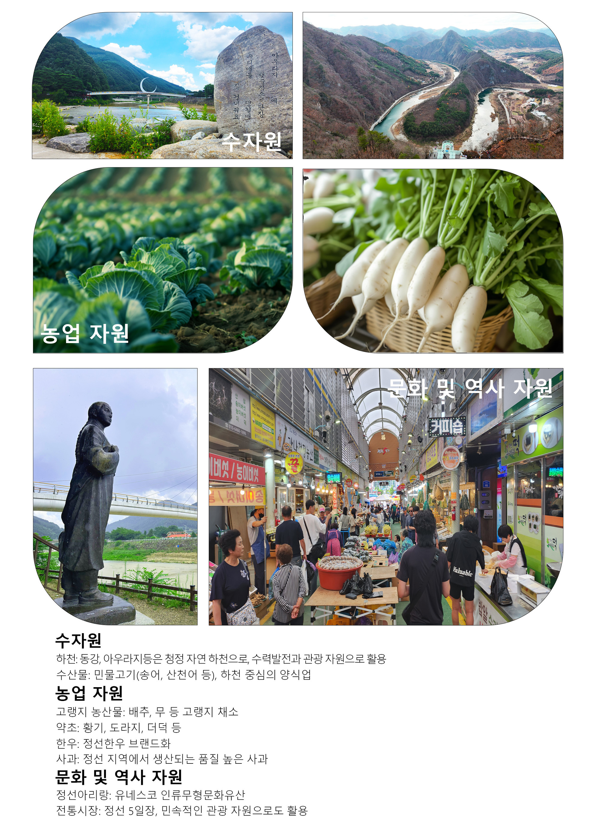 이미지명